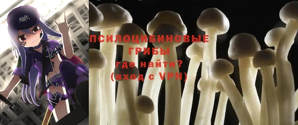 гашик Армянск