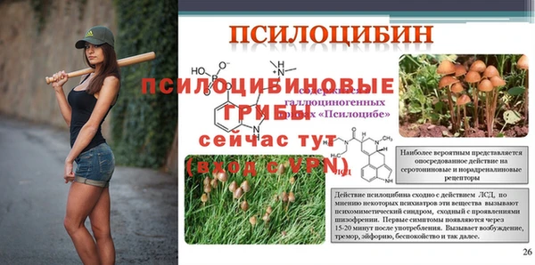 гашик Армянск