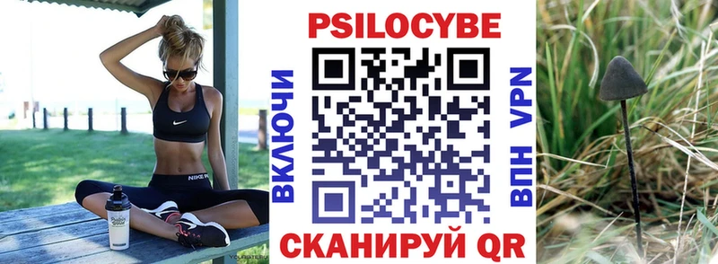 закладка Павловская Галлюциногенные грибы MAGIC MUSHROOMS